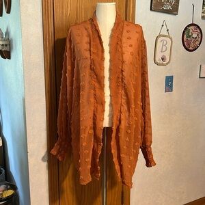 Burnt Orange Sheer Top - Women’s Size 2X